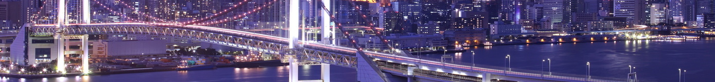 Bridge Tokyo Bay