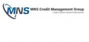 MNS Credit logo