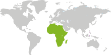 Africa region